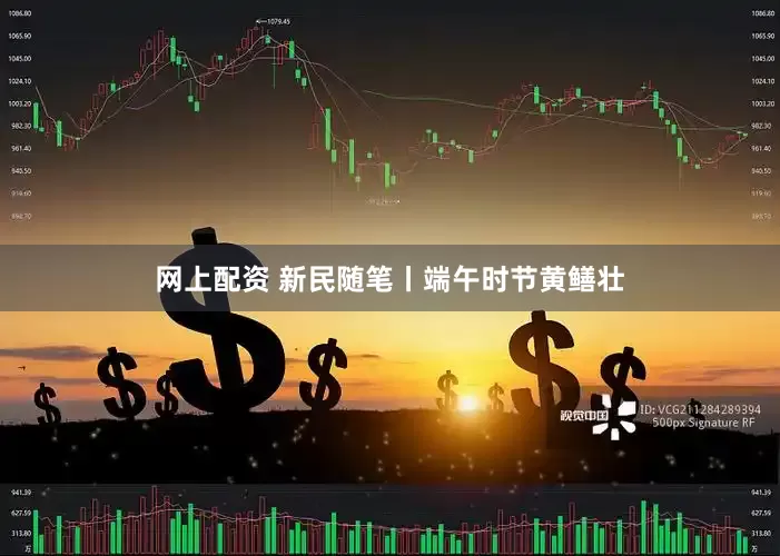 网上配资 新民随笔丨端午时节黄鳝壮