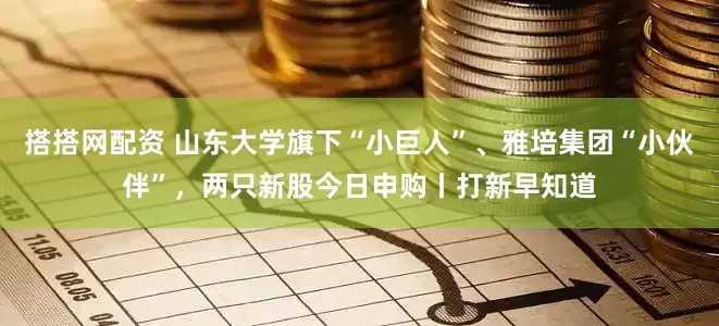 搭搭网配资 山东大学旗下“小巨人”、雅培集团“小伙伴”，两只新股今日申购丨打新早知道